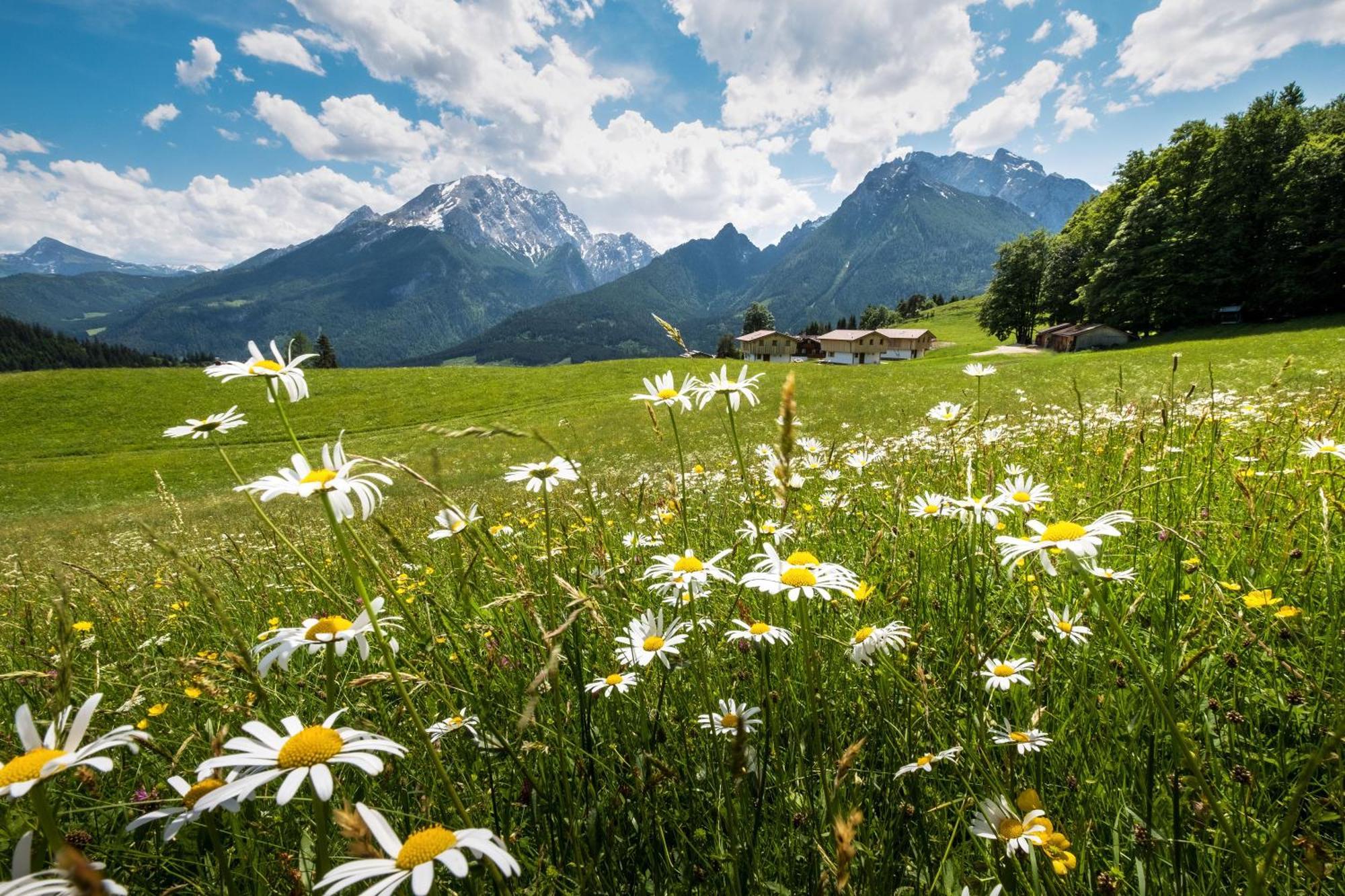 Alpenpension Ettlerlehen Ramsau bei Berchtesgaden Eksteriør billede